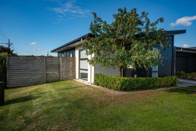 1/1 Murray Street Maeroa_1