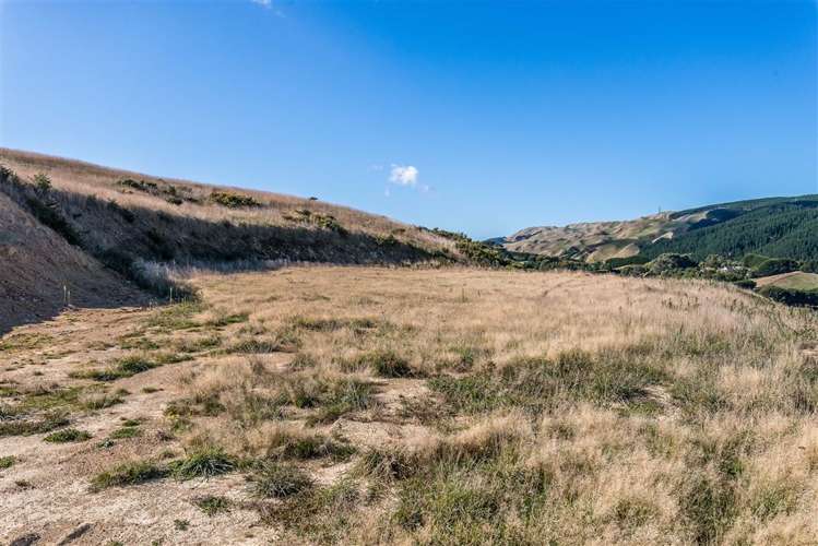 72 Bing Lucas Drive Tawa_4