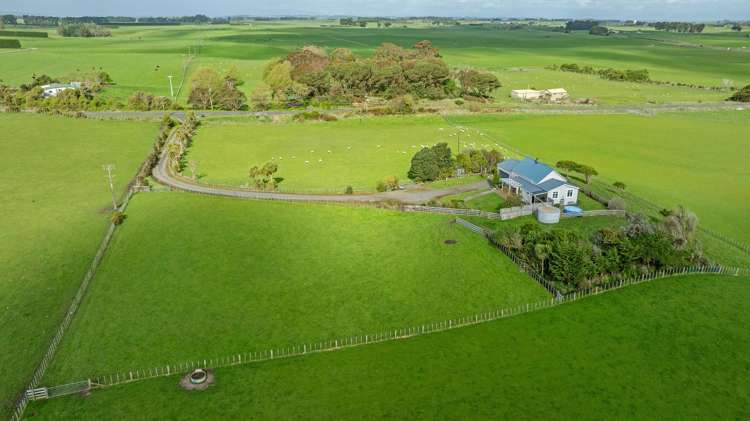 482 Williamsons Line Marton_23