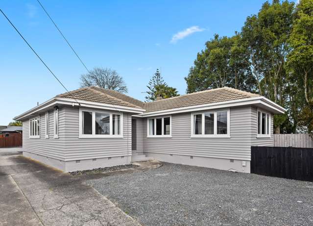 160 Nixon Street Hamilton East_2