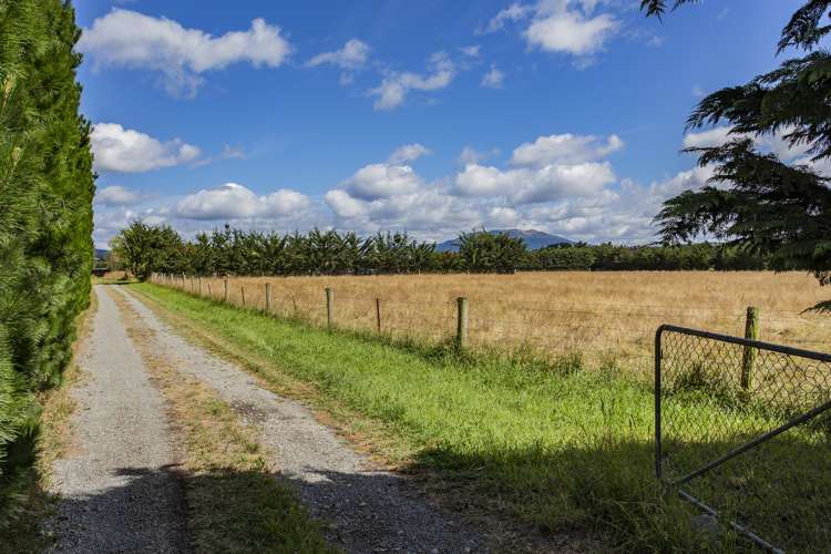 1003 Marshmans Road Balcairn_19