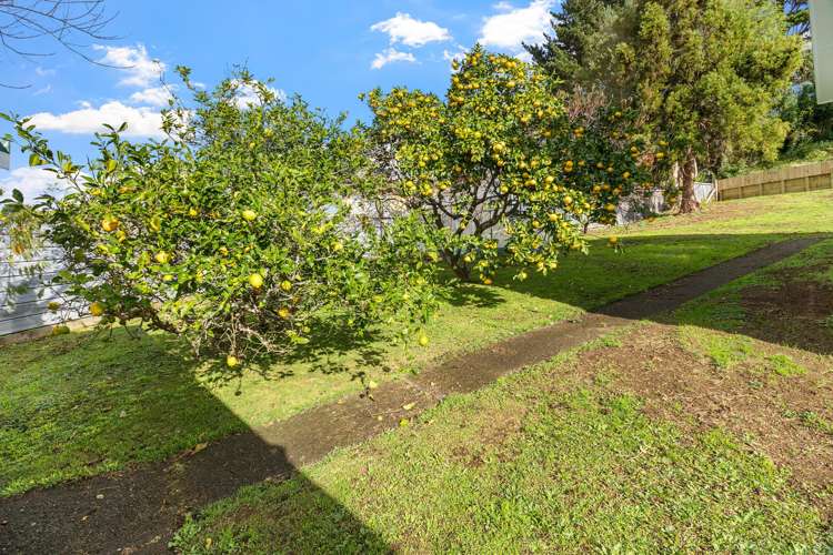 65b Endeavour Street Marfell_21