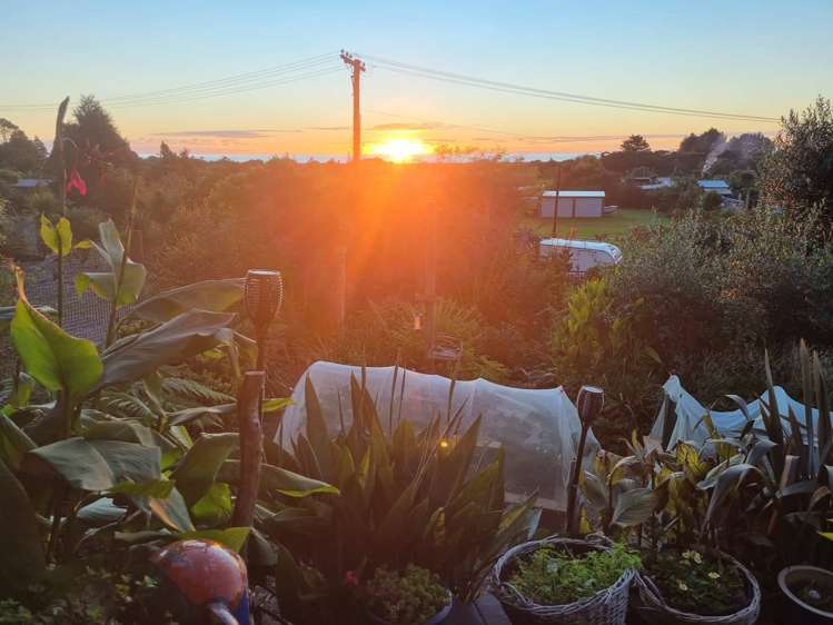28 Nikau Heights Kahurangi National Park_22