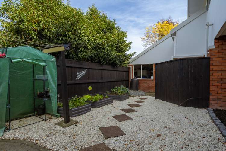 43a Lakings Road Springlands_27