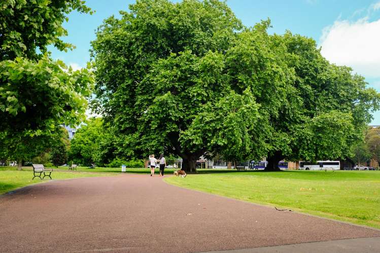 10B Brickfield Way Freemans Bay_19