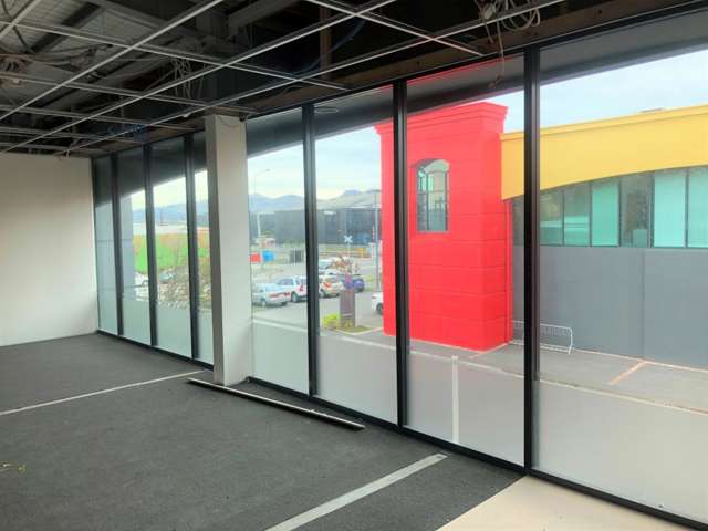 166 Moorhouse Ave Sydenham_4