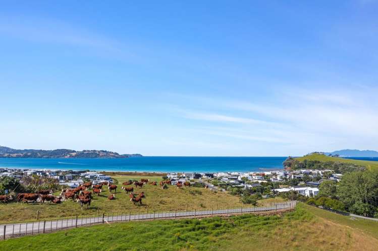 231 Mangatawhiri Road_4