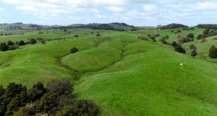 325 Haruru Road Kaukapakapa_19