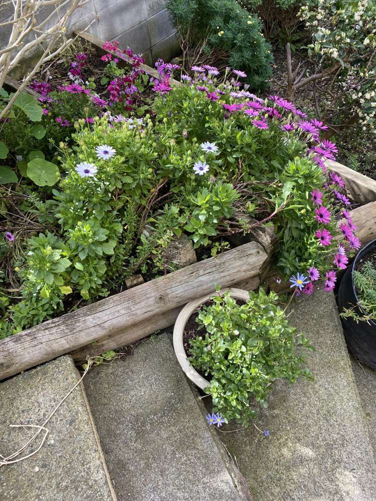 100 Centennial Avenue Waitara_45