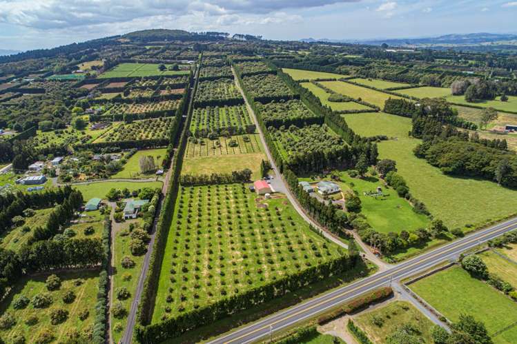 1700 State Highway 14 Maungatapere_27