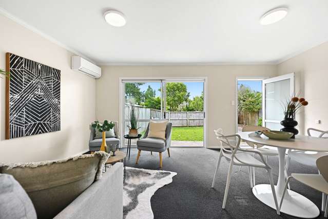 14A Goldsmith Street Maeroa_3