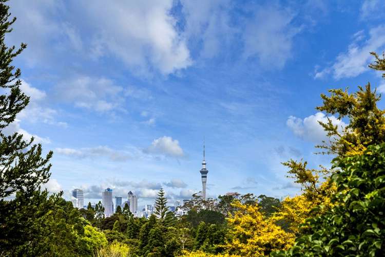 15 Fitzpatrick Place Chatswood_1