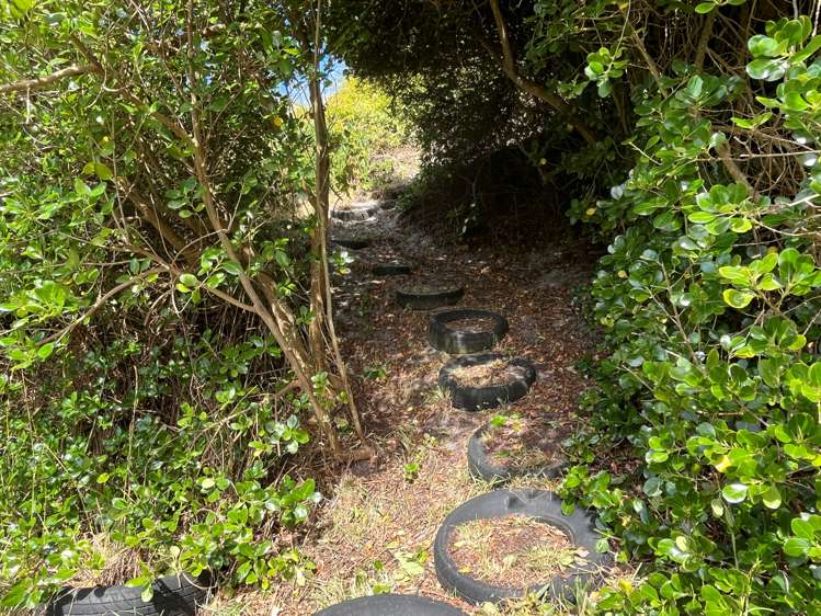 31 Toko Mouth Domain Road Milton_26