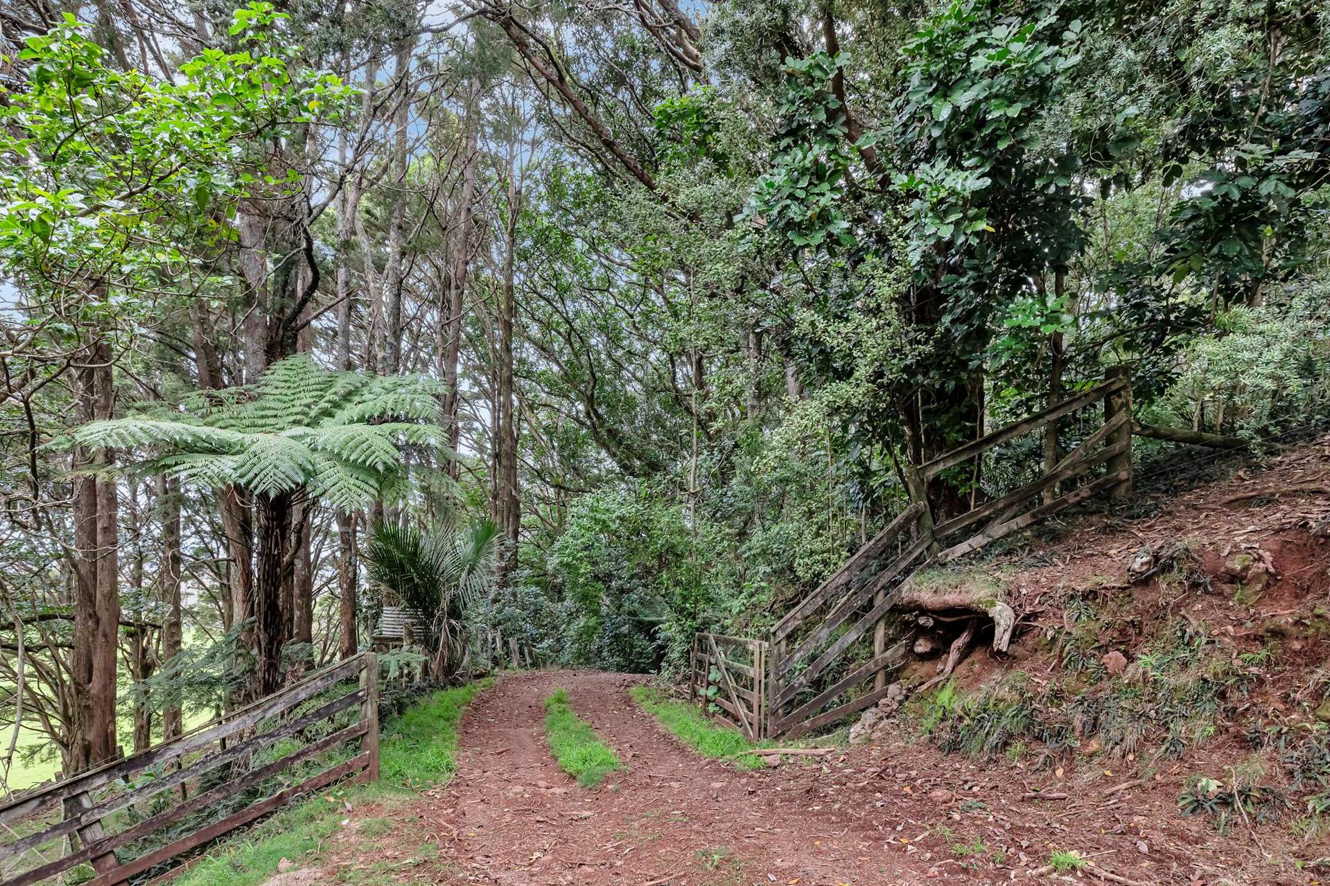 Lot 1, 106 Totara Park Lane Glenbervie_0