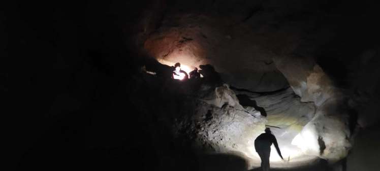 4 Nikau Heights, Little Wanganui Karamea_19