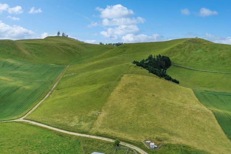 70 Finlay's Road Windsor_1