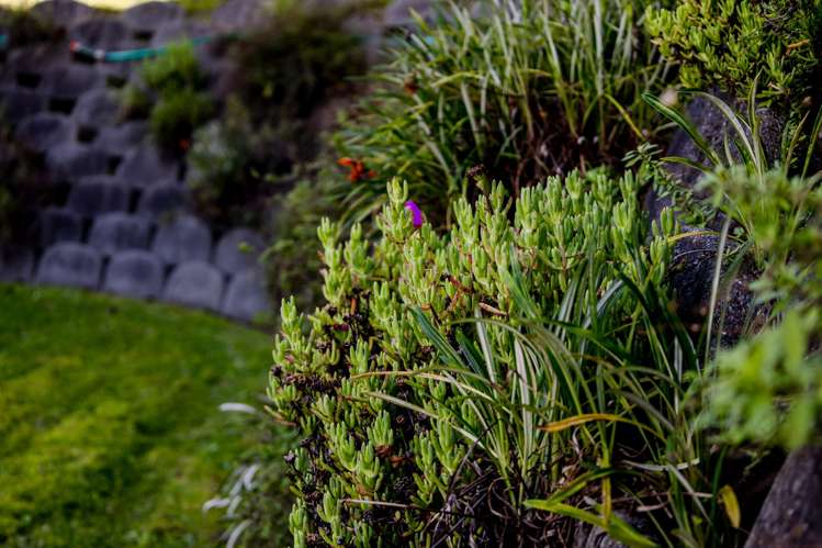 140 Marsden Road Greymouth_30