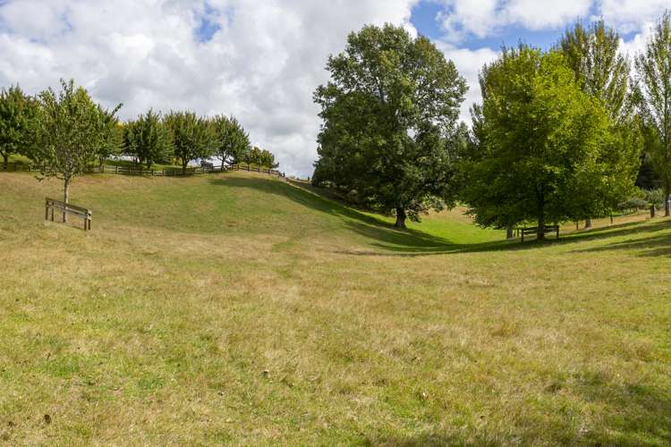 139 Palmer Mill Road Wairakei and Surrounds_47