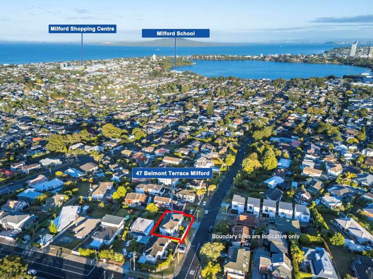 47 Belmont Terrace Milford_26