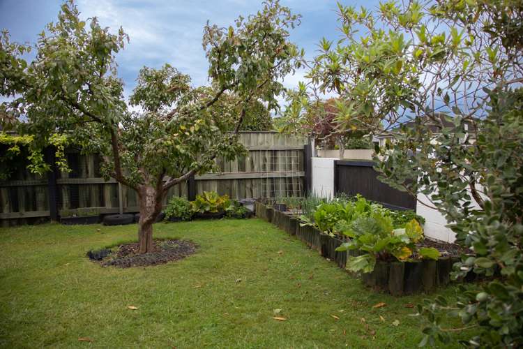 144a Ranolf Street Glenholme_14