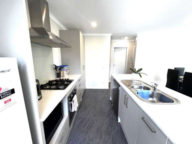 78 Arrowsmith Drive Flat Bush_4