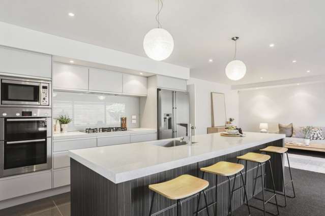 1 Tommy Street Pegasus_3