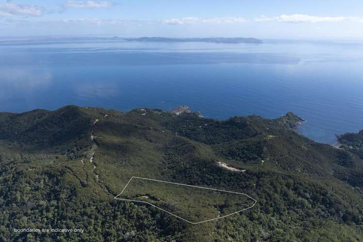 LOT 2 303 Waiaua Road Hihi_14