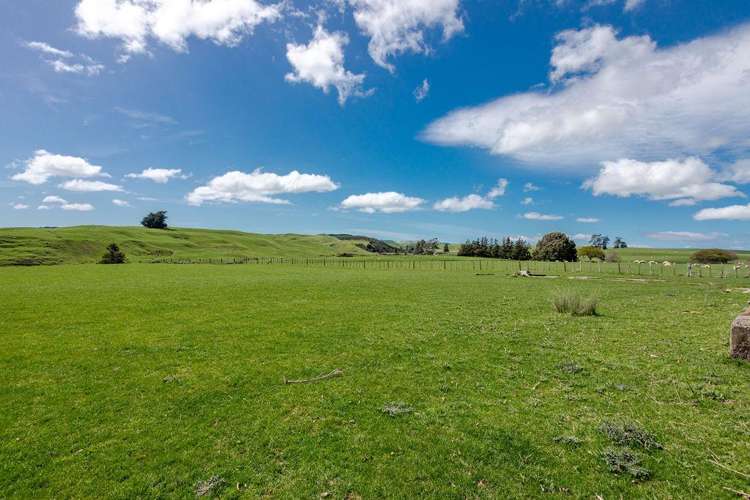 680 Cowper Road Dannevirke_22