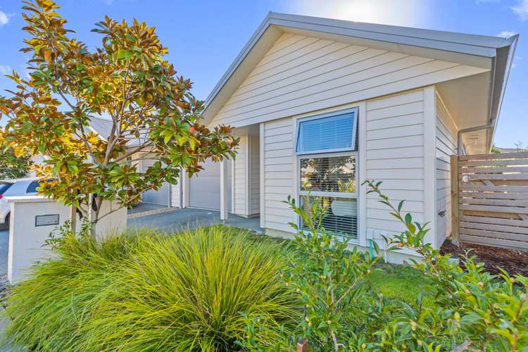 19 Fairwater Road Warkworth_19