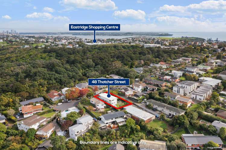 48 Thatcher Street Mission Bay_19