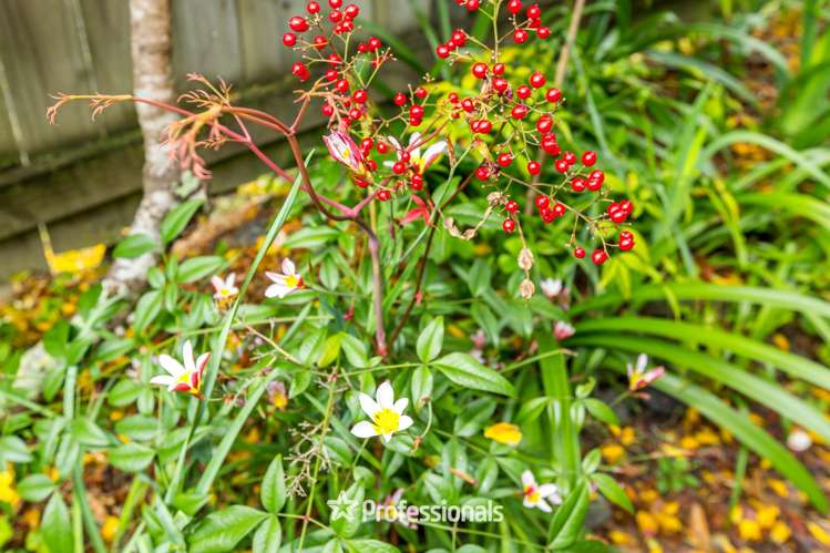 14 Prouse Grove Silverstream_16