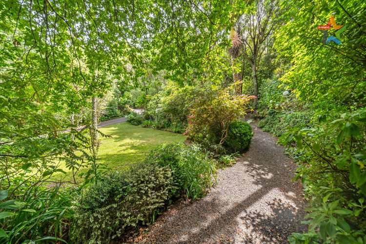 7 Palm Grove Belmont_20