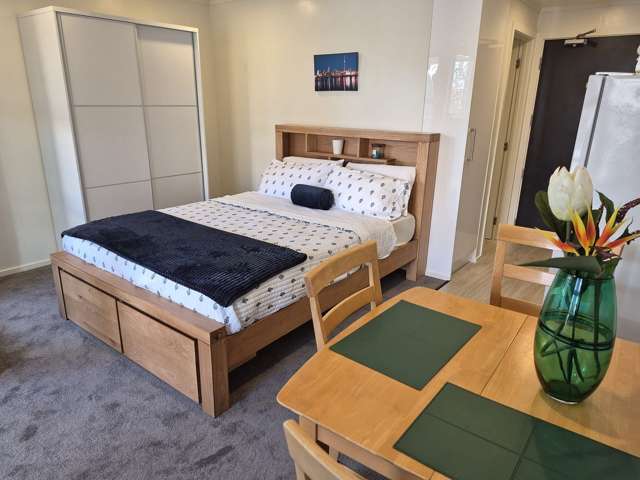 6a/109 Vincent Street Auckland Central_3