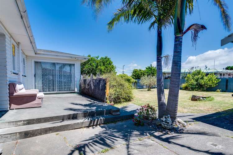 66 Masefield Avenue Maraenui_10