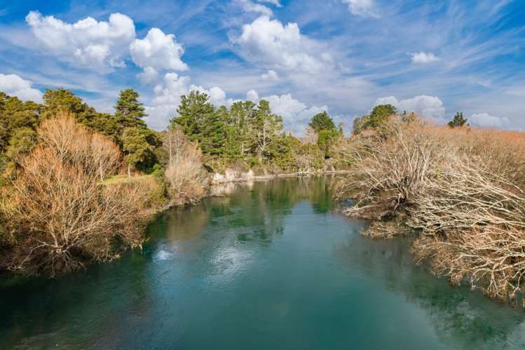 955 River Road Broadlands_24