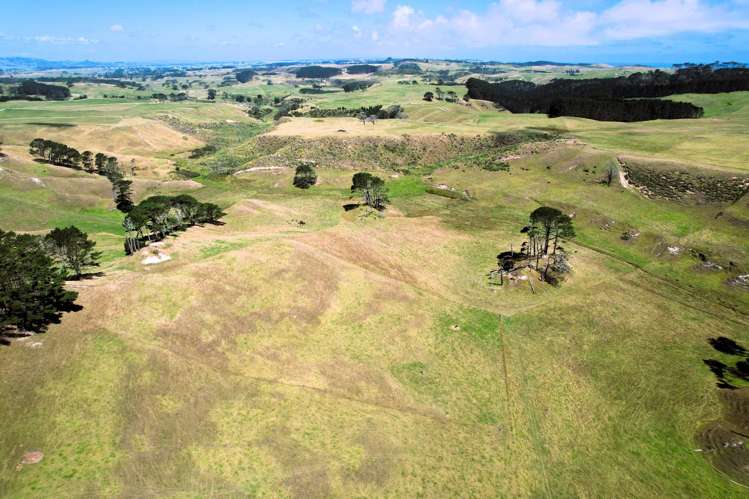Mount Wesley Coast Road Dargaville_22