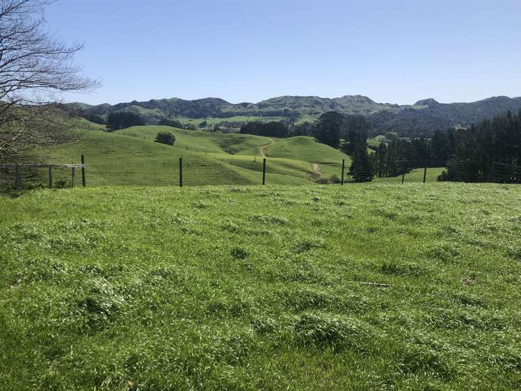 1026 Limeworks Loop Road Karamu_32