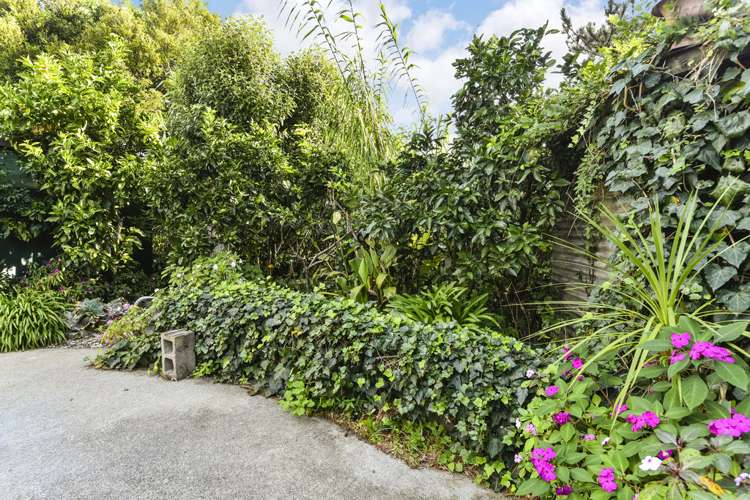 4 Gilpin Place Beach Haven_16