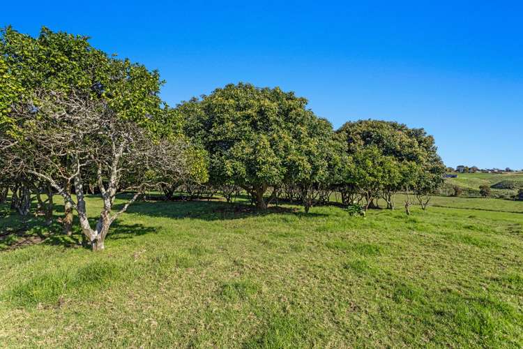 64 Grant Road Opotiki_3