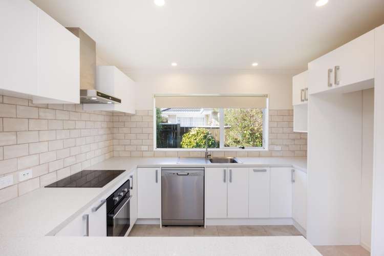 21a Rangitira Avenue Palmerston North Central_2