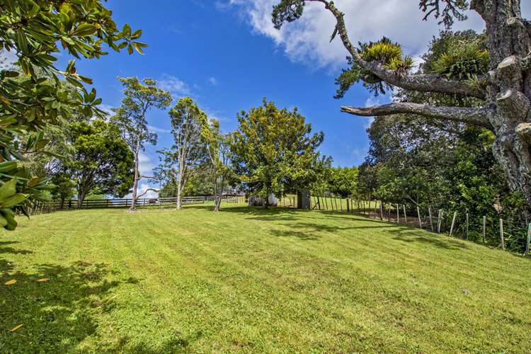 151 Millington Road Maunu_26