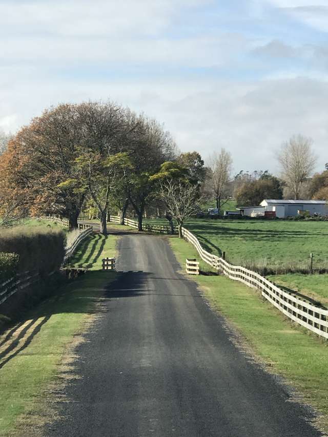 233a Raynes Road Rukuhia_1