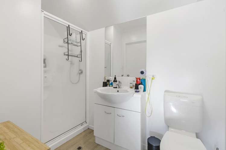 219b Peachgrove Road Claudelands_13