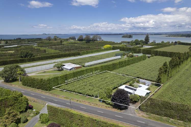 186 Beach Road Katikati_4