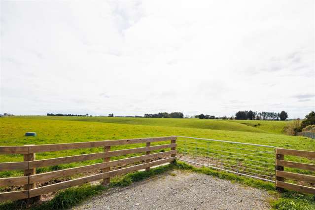 73 Brightwell Road Bulls_4