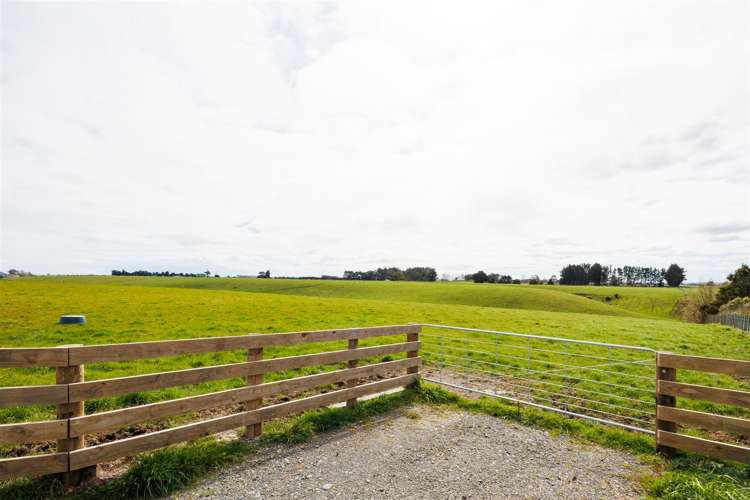 73 Brightwell Road Bulls_4