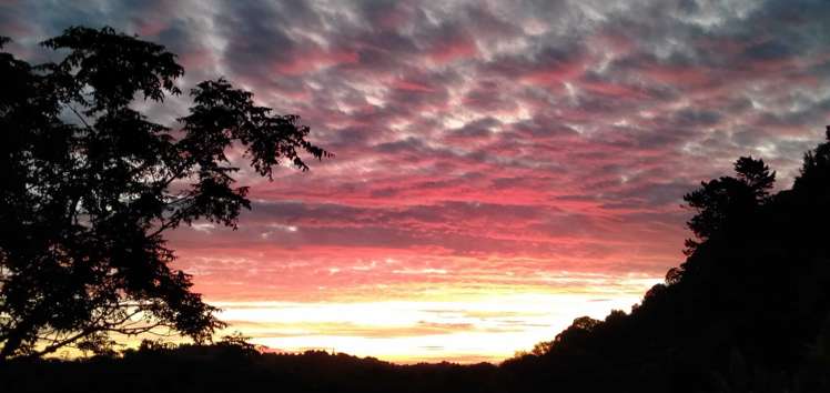 16 Te Ana Lane Thames_7