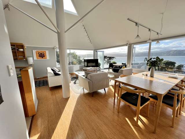 90b Awa Road Seatoun_2