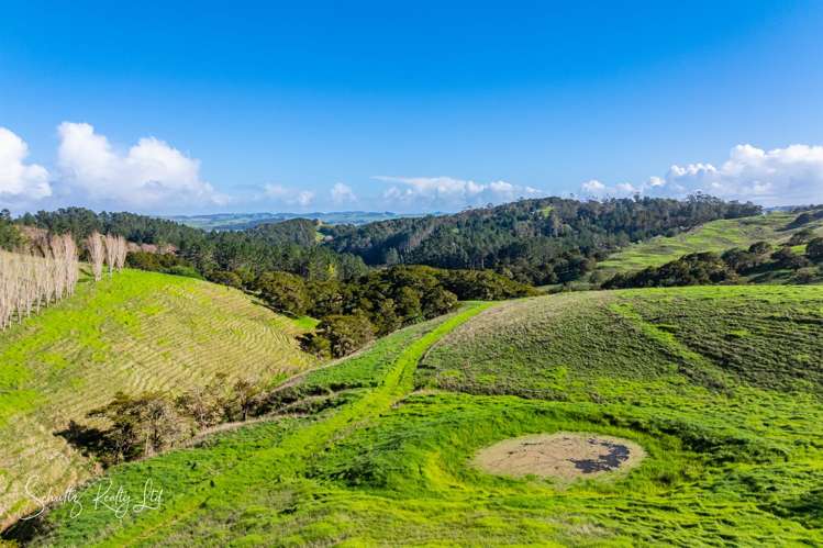 Massey Road Maungaturoto_24