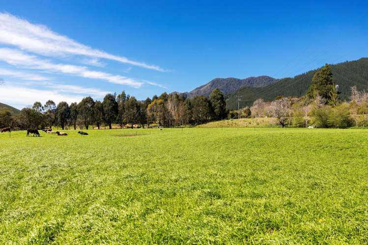 5788 State Highway 6 Pelorus Bridge_31